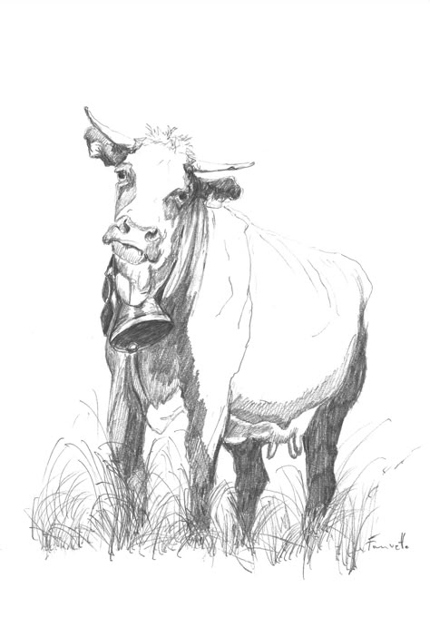 Cow Drawing Reference, Farm Animal Sketches, Farm Animal Drawings, Farm Sketch, Architectural Figures, Animal Drawing Inspiration, Cow Sketch, Cow Drawing, Animal Study