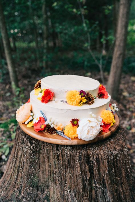 Bilbo Baggins Birthday Cake for Hobbit Day Photo by: J.Berendt Photography Shire Cake Hobbit Party, Bilbo Cake, Bilbo Party, Bilbo Baggins Birthday Cake, Bilbo Birthday, Bilbos Birthday Wedding, Bilbo 111 Birthday, Bilbo Birthday Cake, Bilbos Birthday Cake