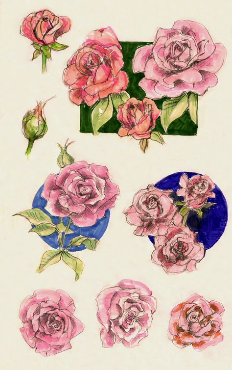 Graphite pencil and chisel point markers Rose Color Pencil Drawing, Sketches Of Roses, Rose Bush Drawing, Bush Drawing, Quick Sketches, Pen Drawings, Sketchbook Art Journal, Rose Bush, Graphite Pencils