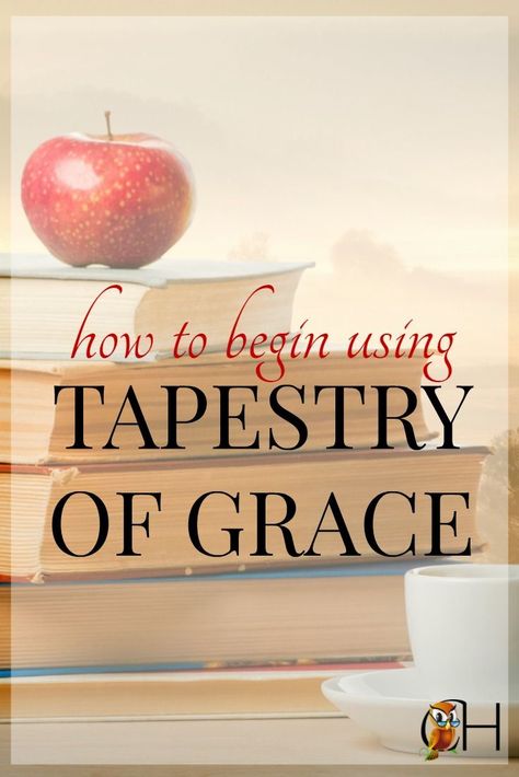 Conquer the fog! Begin using Tapestry of Grace | How to schedule TOG | Help starting TOG Homeschool Elementary Science, Homeschool Middle School Curriculum, Homeschool Phonics, Homeschool High School Curriculum, Tapestry Of Grace, Classical Homeschool, School Planning, Homeschool Middle School, Homeschool Preschool Curriculum