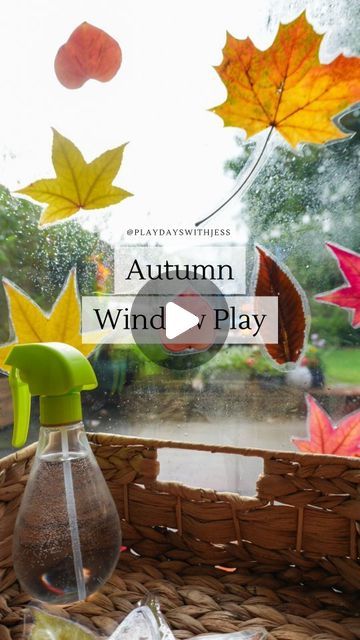 Jess Townsend on Instagram: "AUTUMN WINDOW PLAY // 🍂💦
Who remembers when I shared this a few years ago?! Well, here we are again! We absolutely LOVE doing this activity and do it every autumn. (Lily loves it, and she's 7). 

All you need is...
. Leaves
. Laminating Pouches and Laminator 
. Spray Bottle
. Scissors

Next time you go on an autumn walk, collect a bag of leaves. When you get home, laminate them and cut them out. Grab your spray bottle, spray the windows, and stick your leaves on. It is a great activity that creates a beautiful window display but is also great for fine motor skills, colour recognition, leaf recognition, sizes, numbers, and more! 

Let me know in the comments if you are going to give this activity a try and tag a friend who would love this activity. You can sav Autumn Window, Autumn Walk, Bottle Spray, Instagram Autumn, Beautiful Windows, Window Display, Autumn Day, Fine Motor Skills, Fine Motor