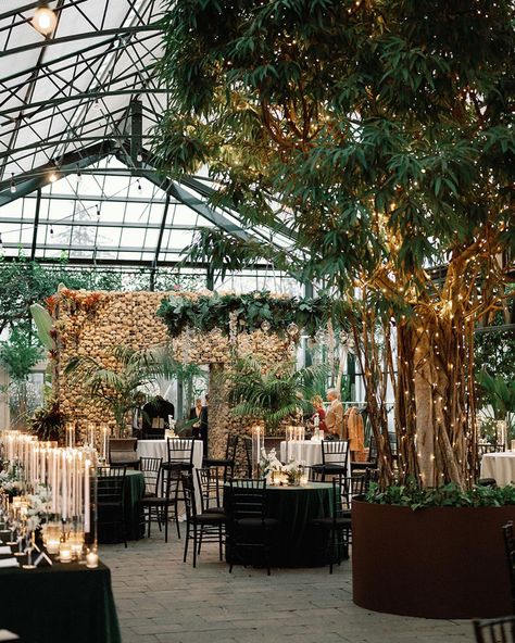 Winter Wedding In Greenhouse, Planterra Conservatory Wedding Michigan, Wedding Green House, Wedding Venue Canada, Green House Wedding Receptions, Green House Event Space, Conservatory Wedding Ceremony, Indoor Woodland Wedding, Greenhouse Wedding Aesthetic