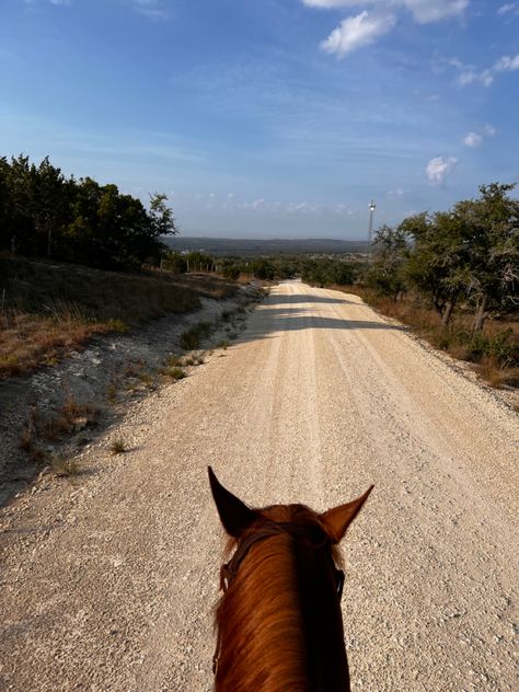 Texas Horse Ranch, Texas Vibes, Texas Ranch, Horse Ranch, Ranch Life, Travel List, Houston Texas, Horse Riding, Texas