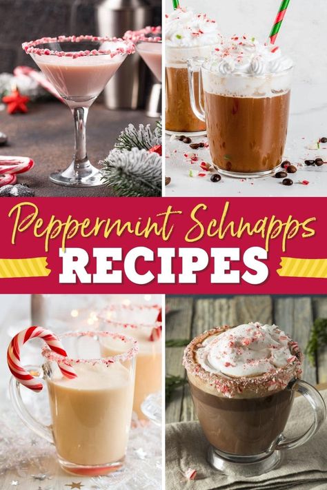 No holiday party is complete without these festive peppermint schnapps drinks. They're fresh, fun, boozy, and the perfect way to celebrate the season. Peppermint Schnapps Drinks, Schnapps Drinks, Peppermint Martini Recipe, Hot Chocolate Baileys, Peppermint Cocktail, Peppermint Vodka, Peppermint Schnapps, Holiday Drinks Alcohol, Peppermint Martini