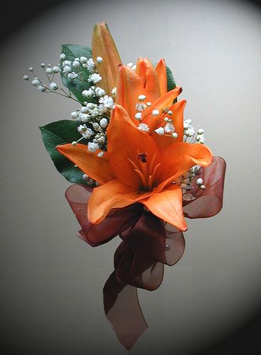 Men- (idea of look) Single orange lily w/ sprig of babies breath wrapped in blue ribbon (possible leaf sprigs in back?) Orange Prom Flowers Bouquets, Tiger Lily Corsage, Orange Corsage And Boutonniere, Tiger Lily Boutonniere, Light Orange Flower Bouquet, Tiger Lily Wedding Bouquet, Orange Flower Corsage, Tiger Lily Wedding Decor, Orange Lily Bouquet