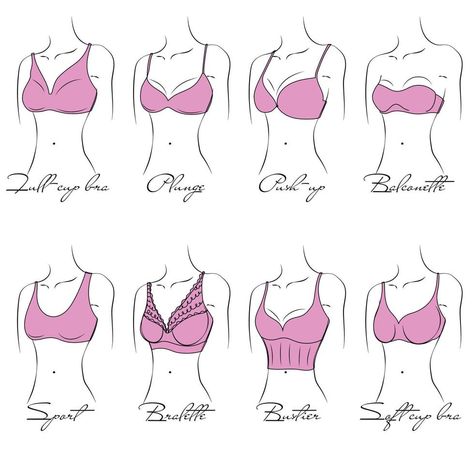 Illustration of the design and variety of women's bras. Hand-drawn lingerie models. Brasseries are classified into various styles based on criteria. Bra Illustration Drawing, Bra Drawing Reference, Bra Reference, Lingerie Drawing, Bra Drawing, Human Drawings, Human Drawing, Anime Design, Anime Drawing