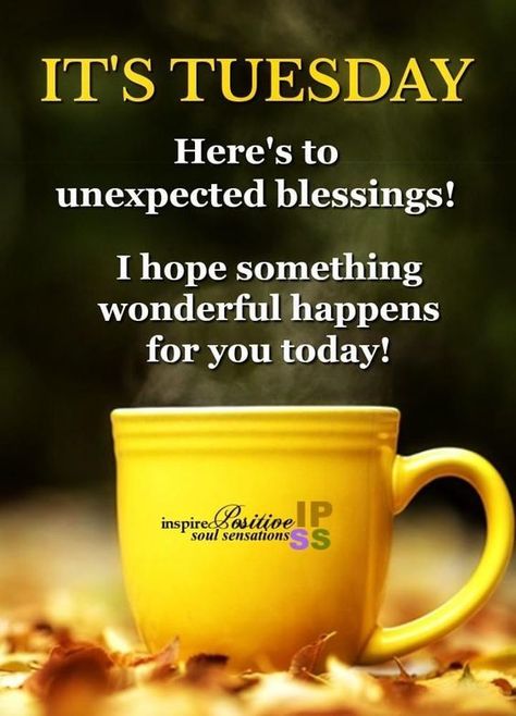 It's Tuesday. Here's to unexpected blessings! day days tuesday tuesday quotes happy tuesday tuesday quote its tuesday Morning Quotes Tuesday, Tuesday Morning Wishes, Good Morning Tuesday Wishes, Tuesday Morning Quotes, Tuesday Motivation Quotes, Thursday Wishes, Tuesday Wishes, Thursday Morning Quotes, Unexpected Blessings