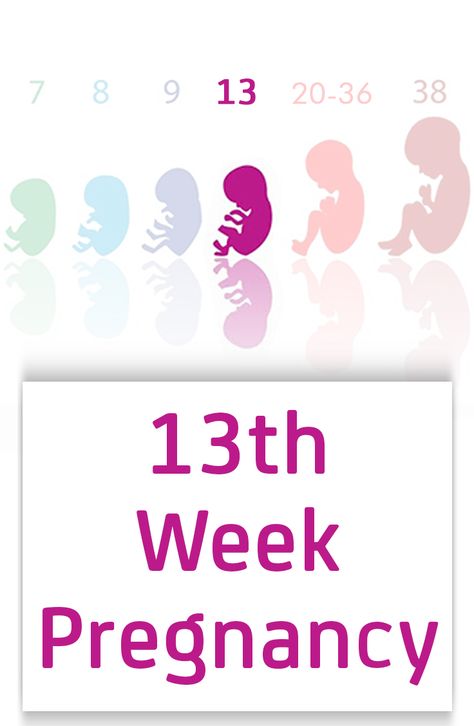 Hey are you 13 weeks pregnant now? Are you now more tensed and worried about your unborn child's devloopment? Here's an article which makes you aware of all changes that you undergo. Pregnancy Trimester, Pregnant Symptoms, 19 Weeks Pregnant, 23 Weeks Pregnant, 13 Weeks Pregnant, 15 Weeks Pregnant, 22 Weeks Pregnant, 27 Weeks Pregnant, 29 Weeks Pregnant