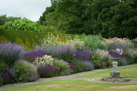 Mixed herbaceous border | Mixed herbaceous border containing… | Flickr Garden Border, Vegetable Garden Planning, Herbaceous Border, Purple Garden, Garden Design Plans, Mediterranean Garden, Garden Landscape Design, Garden Borders, Landscaping With Rocks