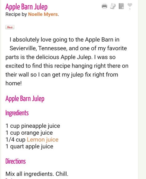 Apple Julep Recipe from Apple Barn in Pigeon Forge, Tennessee Apple Julep Recipe, Apple Julep Apple Barn, Apple Barn Apple Julep, Apple Julep, Cabin Drinks, Tennessee Fall, Julep Recipe, Recipes For Work, Southern Cooking Recipes