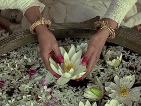 Mira Nair, South Asian Aesthetic, Arte Gif, Desi Love, Vintage Bollywood, Indian Aesthetic, Brown Girl, South Asia, Water Lilies