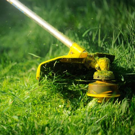 It may sound strange, but it makes sense! Grass Growing Tips Lawn, Grass Maintenance Lawn Care, How To Reseed Your Lawn, Summer Lawn Care, Grass Care Tips Green Lawn, Lawn Problems, Greener Grass, Landscaping Business Cards, Lawn Care Business Cards