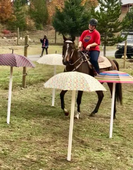 Extreme Cowboy Obstacles, Horse Desensitizing Ideas, Trail Horse Obstacles, Fossil Ideas, Horse Hairstyles, Horse Tricks, Therapeutic Horseback Riding, Horse Obstacles, Riding Ideas