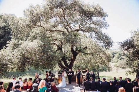 Woodsy Wedding Venues, Ca Wedding Venues, Wine Country Wedding Venues, Northern California Wedding Venues, California Honeymoon, Wedding Rentals Decor, Sonoma Wine Country, Woodsy Wedding, California Wedding Venues