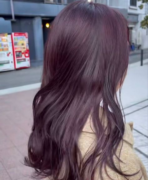 Violet Hair On Brown Hair, Cool Plum Hair Color, Cherry Violet Hair Color, Hair Color Plum Brown, Dark Purple Hair On Brown Hair, Cute Hair Colors For Brown Hair, Cassis Purple Hair, Global Grape Hair, Violet Dark Hair