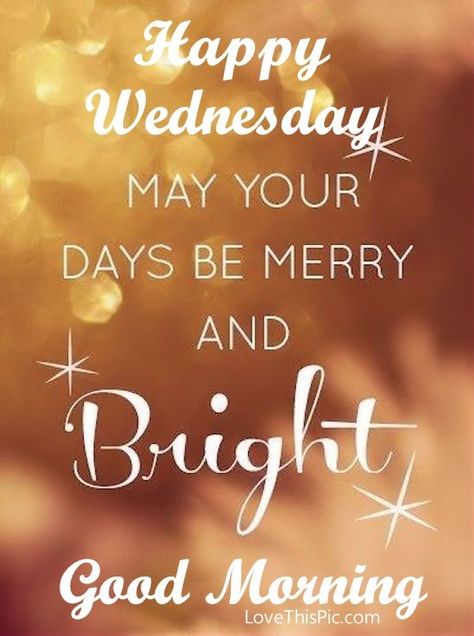 Happy Wednesday~Thank you M! That pin of your two beauties is making this day Merry and Bright! I'm still smiling in enjoying their faces! x New York Noel, Golden Christmas, Merry Christmas Images, Holiday Quotes, E Mc2, Be Merry, Merry Little Christmas, Let's Celebrate, Christmas Love