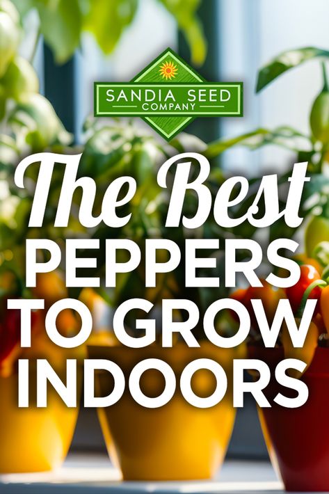 Best Peppers to grow indoors Pepper Garden, Pepper Varieties, Grow Peppers, Growing Peppers, Good Lighting, Sunny Window, Seed Company, Vegetable Gardening, Growing Indoors