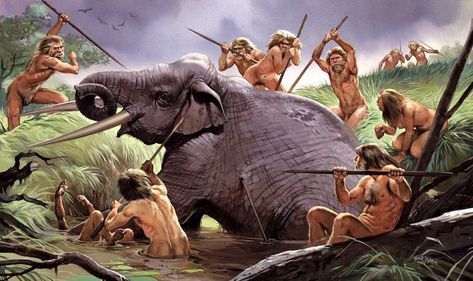 Homo heidelbergensis tribe killing a straight-tusked elephant. H. heidelbergensis is an extinct hominid of the Middle Pleistocene, known from fossils found in Africa and Europe. Angus Mcbride, Homo Heidelbergensis, Homo Erectus, Prehistoric Man, Prehistoric Wildlife, Human Evolution, Prehistoric World, Early Humans, Great Ape