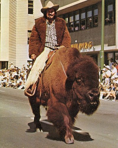 Hipster Cowboy, Cowboy Painting, Rodeo Cowboys, Musk Ox, American Bison, Happy Canada Day, American Living, Cowboy And Cowgirl, Photo Reference