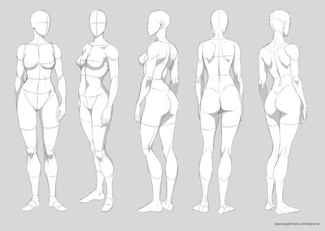 Figure Drawing Female, Male Figure Drawing, Drawing Female Body, Character Design Cartoon, Body Sketches, Images Kawaii, Human Figure Drawing, Anatomy Sketches, Anatomy Poses