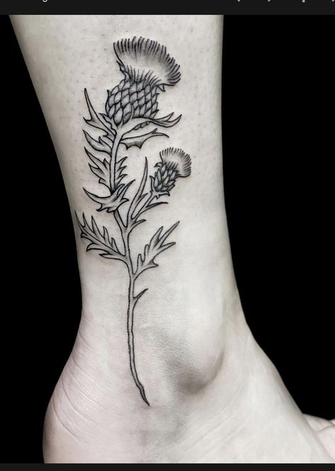 Thistle Tattoo Black, Outlander Tattoos, Thistle Flower Tattoo, Scotland Tattoo, Scottish Thistle Tattoo, Trinity Knot Tattoo, Scottish Tattoo, Mysterious Tattoo, Scottish Tattoos