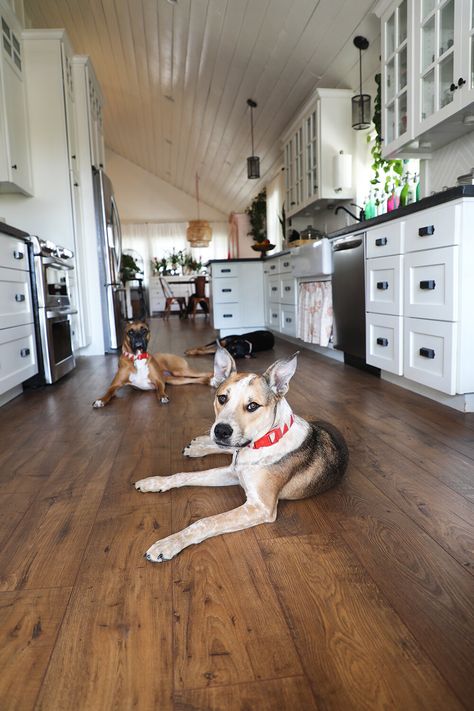 Hoboken Oak Pergo, Pergo Timbercraft Antique Barnwood, Farmhouse Wooden Floors, Pergo Rustic Smoked Chestnut, Pergo Waterproof Laminate Flooring, Pergo Wide Plank Flooring, Pergo Wide Plank Laminate, Golden Rustic Oak Pergo, Pergo Amber Chestnut