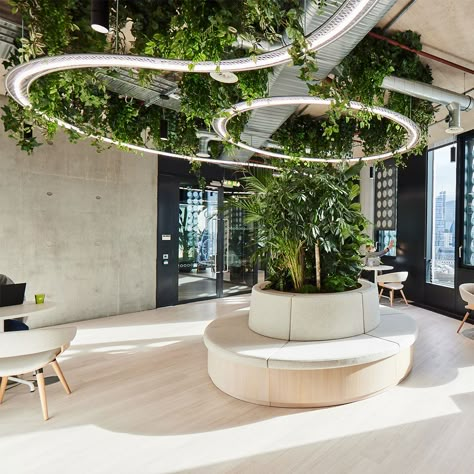 Plants For The Office, Green Lobby, Office Collaboration Space, Entrance Lobby Design, Tranquil Office, Best Office Plants, Agency Office, Breakout Area, Coworking Office