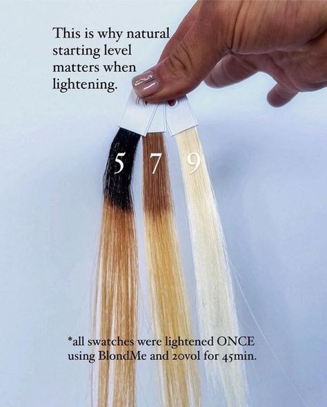 Hair Lift Levels, Haircolor Technique, Hairstylist Tips, Ice Blond, Beige Balayage, Hair Dye Techniques, Hair Levels, Hair Science, Hair Foils