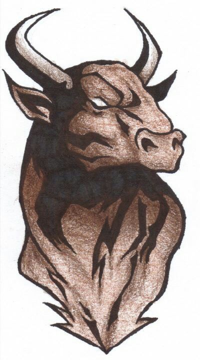 Bull Tattoo Design, Skull Tattoo Sketch, Bull Skull Tattoo, Ox Tattoo, Sketch Skull, Taurus Bull Tattoos, Bull Skull Tattoos, Bull Tattoo, Bull Tattoos