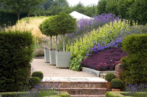 Anthony Paul Landscape Design Drift Planting, Container Trees, French Country Landscaping, Formal Garden Design, Garden Architecture, Country Landscaping, Blue Garden, Love Garden, Garden Landscape Design