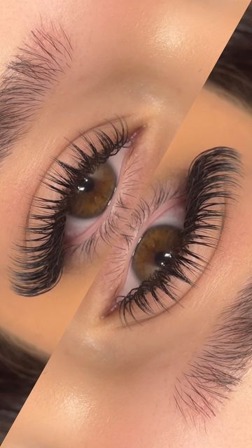 Last Extensions Styles, Eyelash Extensions Wet Set, Wet Sets Lash Extensions, Lashes Wet Set, Brown Wet Set Lashes, Wet Volume Lash Extensions, Wet Hybrid Lash Extensions, Cat Eye Wet Set Lash Extensions, Wet Cat Eye Lash Extensions