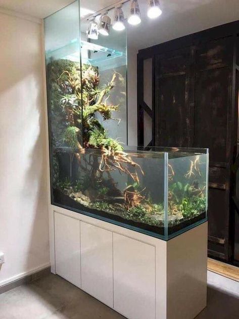 Aquarium Mural, Wall Aquarium, Kolam Koi, Amazing Aquariums, Cool Fish Tanks, Aquarium Terrarium, Aquarium Setup, Home Aquarium, Aquarium Design