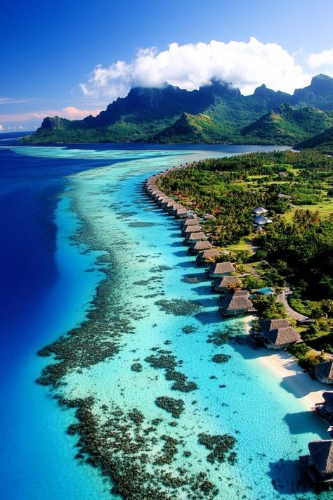 Indulge in a Luxurious Beach Escape in Bora Bora 🏝✨ Relax on the pristine beaches of Bora Bora, enjoy overwater bungalows, and experience the turquoise waters of this tropical paradise. 🌿🌞 #BoraBora #BeachEscape #TropicalParadise #TravelInspiration French Polynesian Islands, Bora Bora French Polynesia, Polynesian Islands, Holiday Travel Destinations, Overwater Bungalows, Landscape Quilts, Living My Best Life, My Best Life, A Breath Of Fresh Air