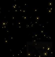 Fire Flies Aesthetic, Firefly Aesthetic, Fireflies Aesthetic, Firefly, Book Aesthetic, Dark Black, Art Wallpaper, Tik Tok, Bugs