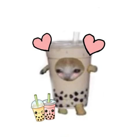 Boba Pfp Aesthetic, Boba Icon, Cat With Boba, Cat Boba, Boba Aesthetic, Milk Cat, Animal Eating, Cute Boba, Boba Drink