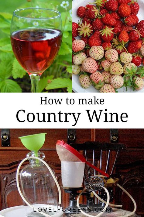 Country Wine Recipes, Homemade Booze, Fermented Beverages, Homemade Wine Recipes, Bug Juice, Wine Yeast, Wine Making Equipment, Brewing Recipes, Flowers And Fruit