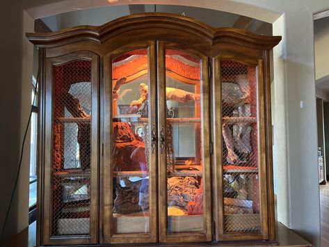 China Cabinet Reptile Enclosure, China Cabinet Terrarium, Hutch Top Repurposed, Indoor Aviary, Diy Bearded Dragon Enclosure, Diy Hutch, Dragon Terrarium, Lizard Terrarium, Bearded Dragon Diy