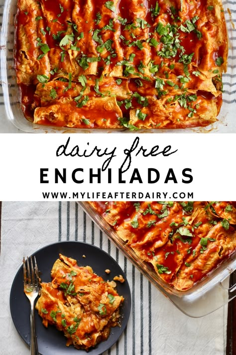 Delicious and dairy free turkey enchiladas take your dinner to the next level. These juicy, flavor packed enchiladas are a quick and easy recipe your family will want again and again. No cheese or sour cream in this tasty dish! Simple ingredients such as ground turkey, green chilies, and soft corn tortillas make this dish a winner! #dairyfree #texmex #enchiladas Enchilada Casserole Dairy Free, Mexican Food Recipes Dairy Free, Chicken Enchiladas No Cheese, Dairy Free Gluten Free Mexican Recipes, Gluten Free Dairy Free Chicken Enchiladas, Dairy Free Beef Enchiladas, Ground Turkey Recipes For Dinner Gluten Free Dairy Free, Non Dairy Chicken Enchiladas, Gf Df Enchiladas