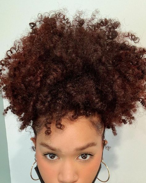 Chocolate Brown Afro Natural Hair, Dark Ginger Curly Hair Black Women, Keeahwah Afro, Caramel Natural Hair, Chocolate Copper Hair Curly, Reddish Brown Natural Hair, Dark Red Natural Hair Black Women, Hair Color For Natural Hair Black Women, Copper Curly Hair Black Women