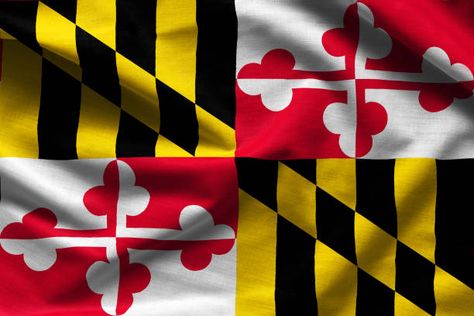 Maryland State Flag Maryland Flag Tattoo, Maryland Flag, Flag Tattoo, Raven Art, Fabric Textures, State Flags, American Dream, Baltimore, Fabric Texture