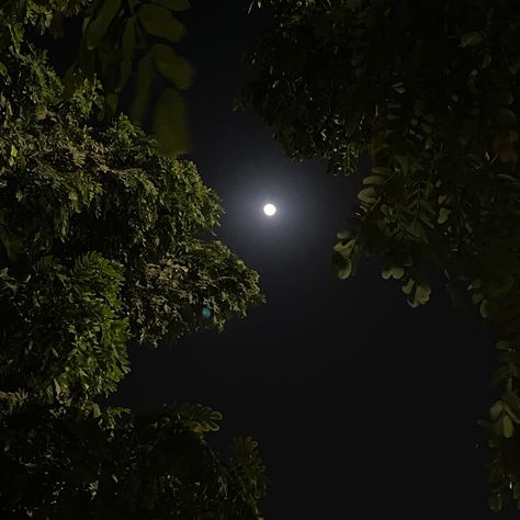 Full Moon Pictures, Moon Pics, Wallpaper Sky, Iphone Wallpaper Sky, Stylish Photo, Moon Photos, Insta Profile, Moon Pictures, Instagram Ideas Post