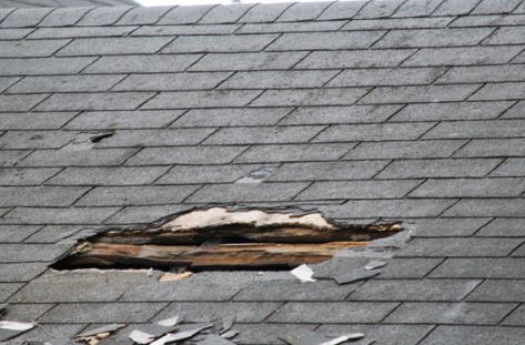 Roof Repair Diy, Roof Leak, Roof Leak Repair, Roof Ideas, Roof Damage, How To Install Gutters, Roof Inspection, Asphalt Roof Shingles, Leak Repair