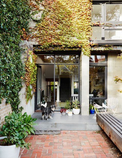 Jamie Sormann and Alice Maloney - The Design Files | Australia's most popular design blog. Purple Bath, Townhouse Exterior, Local Architecture, Modern Renovation, Nature Architecture, Melbourne House, Garden Architecture, Backyard Deck, Australian Homes