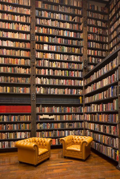 Archives Room, Books At Home, Styling A Bookcase, Cozy Home Library, Lots Of Books, Bookstore Cafe, Dream Library, Beautiful Library, Library Architecture