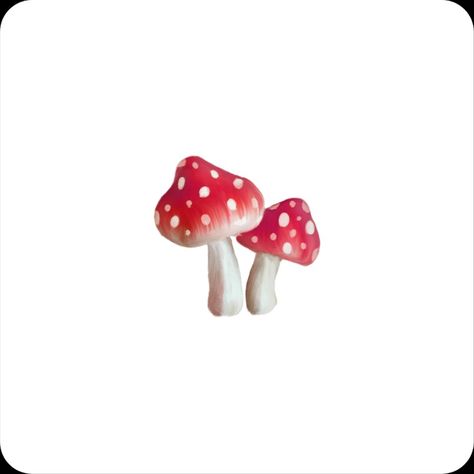 Red Mushrooms, Red, White