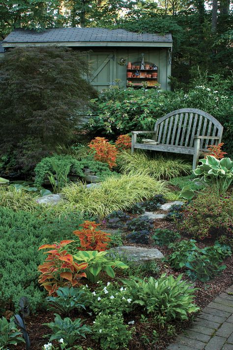 Ideas For Shady Corner Of Garden, Shade Gardens Under Tree, Flowers In Shaded Area, Plants For Dry Shade Under Trees, Gardening In Shaded Areas, Shed Landscaping, Shade Landscaping, Shade Garden Design, Dry Garden