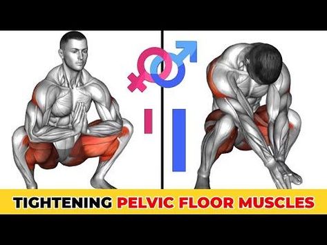 Natural Prostate Health Big Mack, Kegel Exercise For Men, Diy Fitness, Health And Fitness Expo, Diy Workout, Hiit Workout At Home, Gym Workout Chart, Gym Workouts For Men, Pelvic Floor Exercises