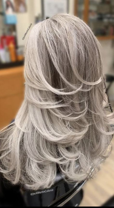 Butterfly Hairstyle, Dark Grey Hair, Long Silver Hair, Feather Cut, Haircut Inspo, Butterfly Cut, Salt And Pepper Hair, Grey Hair Inspiration, 2024 Prom