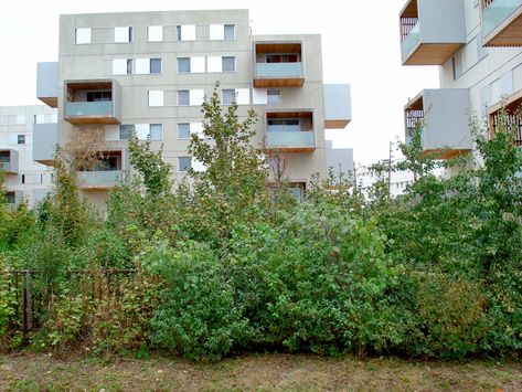 Space Photography, Small Courtyards, Metal Railings, Wood Cladding, Work Site, Social Housing, Residential House, Construction Process, Contemporary Landscape