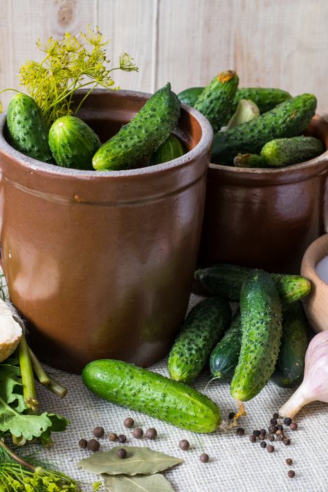 How To Make Old Fashioned Dill Pickles In A Crock! No Canning Required Dill Pickles In A Crock, Crock Dill Pickles Recipe, Brine Pickles Recipes, How To Make Dill Pickles, Salt Pickles Old Fashion, Crock Pickles Recipes, Dill Pickle Brine Recipe, Crock Pickles, Salt Pickles